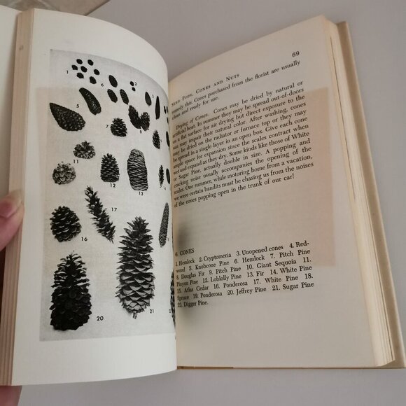 1958 The Art of Drying Plants & Flowers Book Vintage Mabel Squires Yellow Cover - Picture 10 of 11